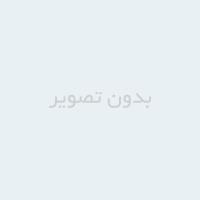 پاورپوینت روانشناسی رفتار با گردشگران